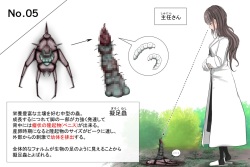 Insect research report No.05