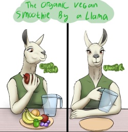 The Organic Vegan Smoothie by a Llama + Extras